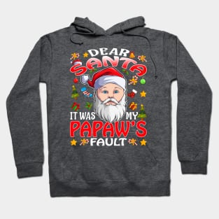 Dear Santa It Was My Papaws Fault Christmas Funny Chirtmas Gift Hoodie